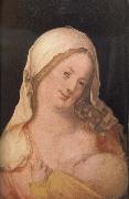 Albrecht Durer The Virgin suckling the Child oil painting artist